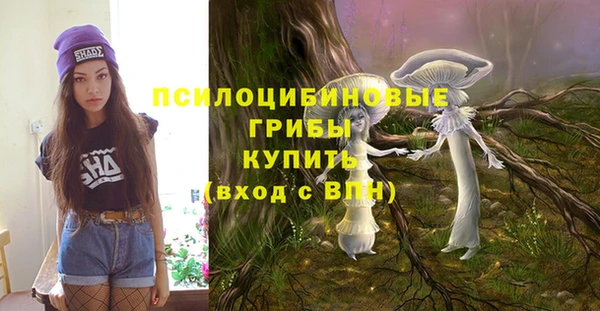 герыч Абаза