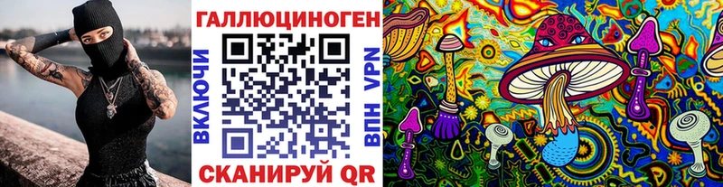 Псилоцибиновые грибы Psilocybe Белая Калитва